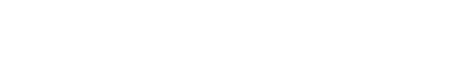 Cybernautic Logo